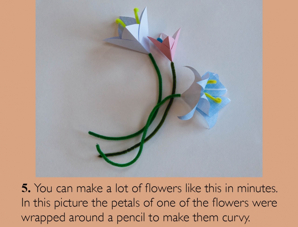 flowers_en06