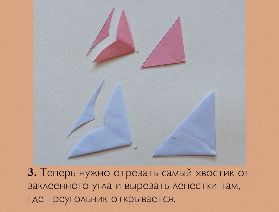 flowers_ru04