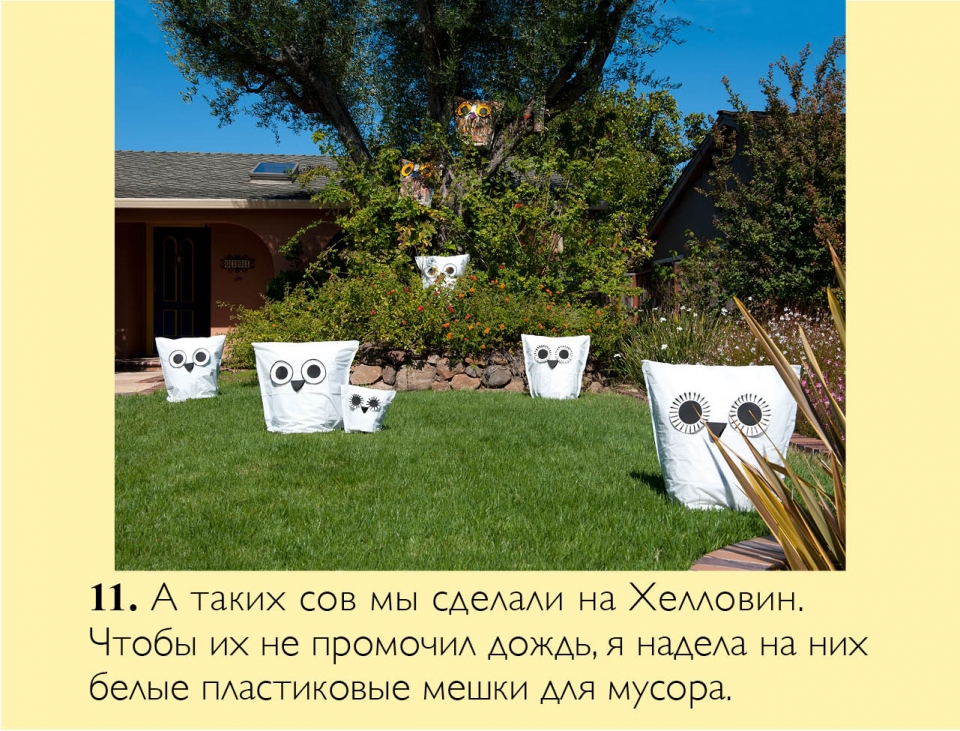owl_ru12