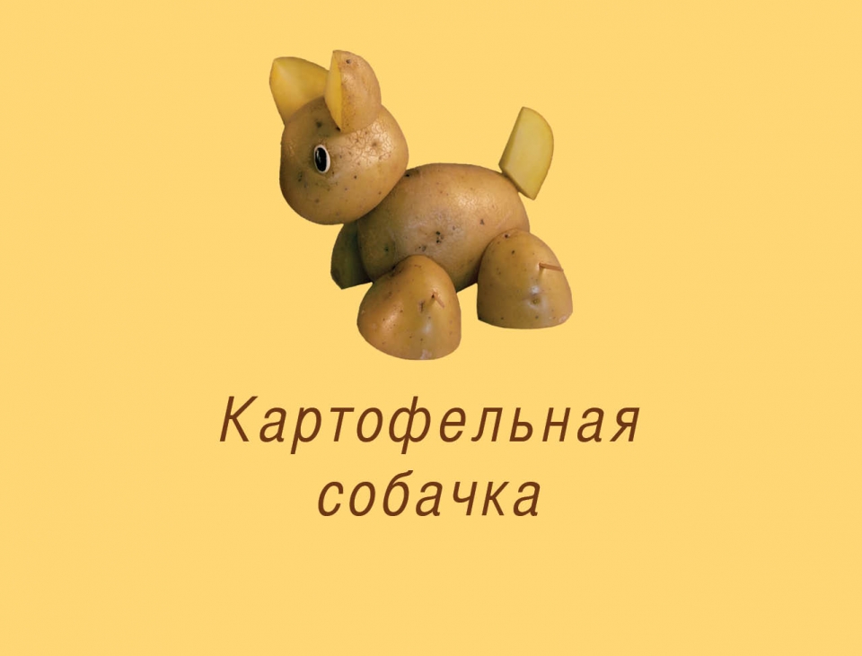 puppy_ru01